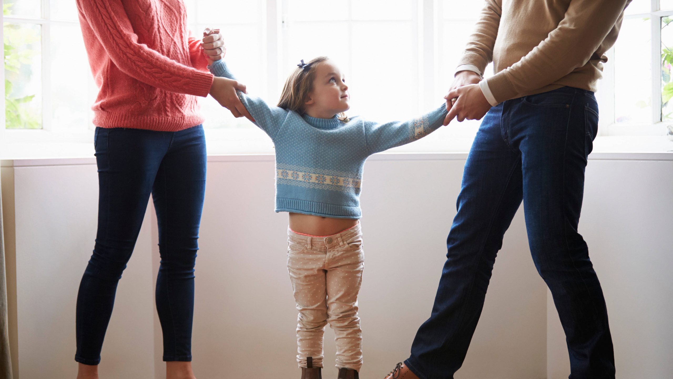 Michigan child custody and parenting time representation